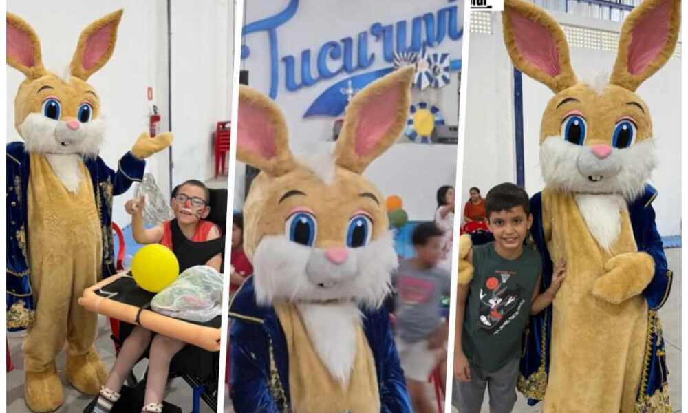 Crédito das Fotos: Divulgação