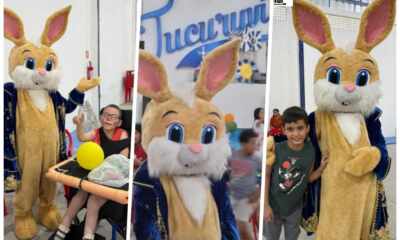 Crédito das Fotos: Divulgação