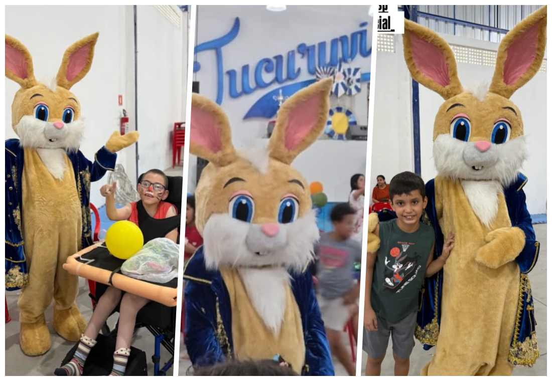 Crédito das Fotos: Divulgação