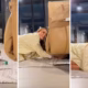 Reprodução: Instagram