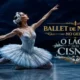 Ballet de Moscou no Gelo - Lago dos Cisnes Foto Divulgação