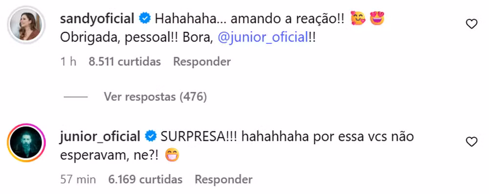 Sandy e Junior - Foto Reprodução